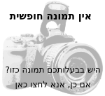 שליחת תמונה