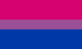 דגל הקהילה הביסקסואלית